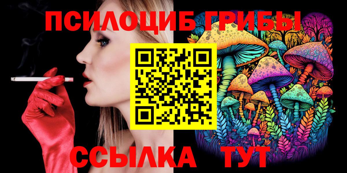 Псилоцибиновые грибы Psilocybine cubensis Махачкала