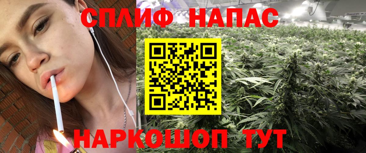 МАРИХУАНА MAZAR Махачкала